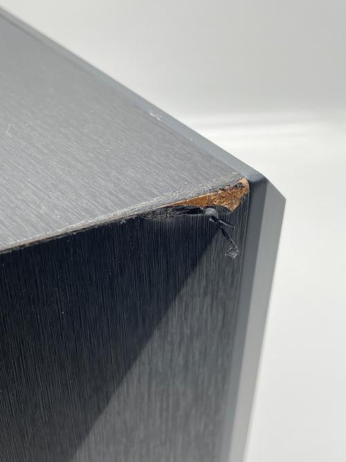 Reproducer モニタースピーカー Epic5