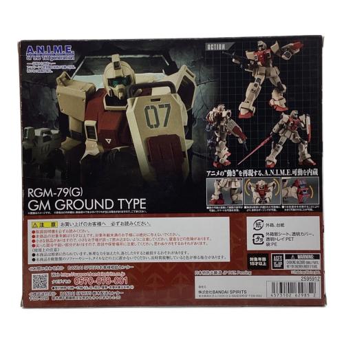 BANDAI (バンダイ) 機動戦士ガンダム 第08MS小隊 ROBOT魂 ＜SIDE MS＞ RGM-79(G) 陸戦型ジム ver. A.N.I.M.E.