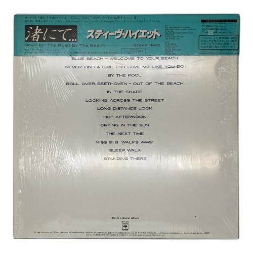 Steve Hiett 渚にて… / Down On The Road By The Beach LP　レコード