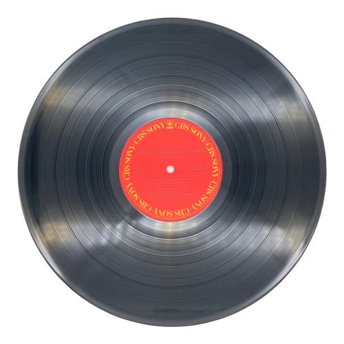 Steve Hiett 渚にて… / Down On The Road By The Beach LP　レコード