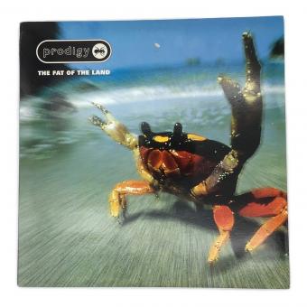 PRODIGY THE FAT OF THE LAND LP　レコード XLLP-121