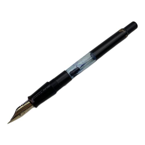 PILOT (パイロット) 万年筆 創立70周年記念品