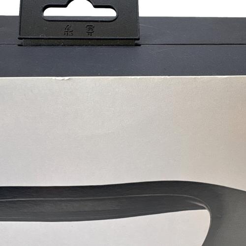 BOSE (ボーズ) コンパニオンスピーカー 422914 SOUNDWEAR