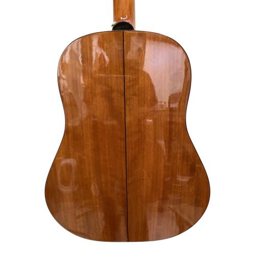 EPIPHONE (エピフォン) アコースティックギター AJ-100/N