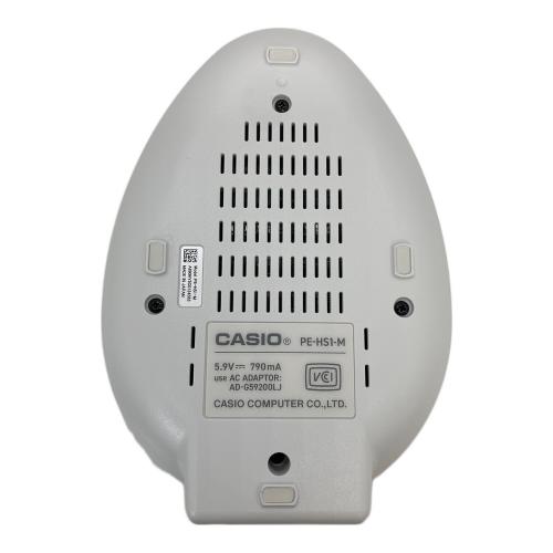 CASIO (カシオ) AIペット PE-M10 箱付