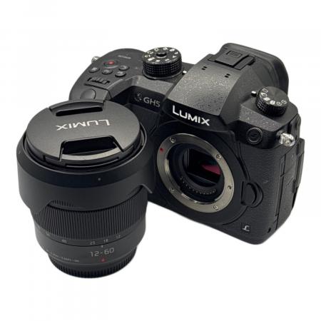 Panasonic (パナソニック) デジタル一眼レフカメラ Lumix DC-GH5 H
