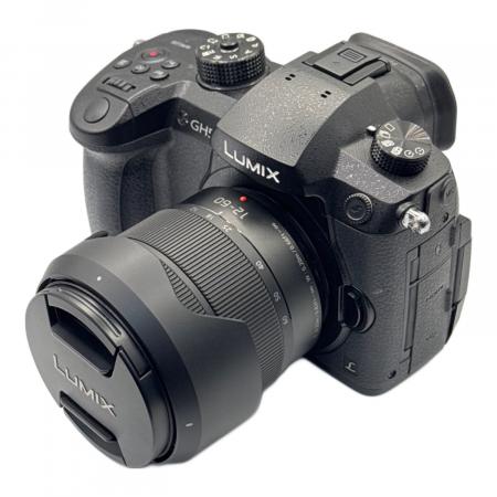 Panasonic (パナソニック) デジタル一眼レフカメラ Lumix DC-GH5 H
