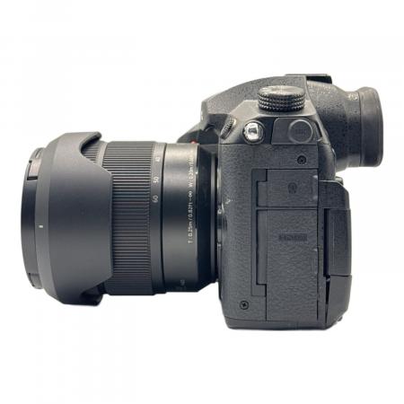 Panasonic (パナソニック) デジタル一眼レフカメラ Lumix DC-GH5 H