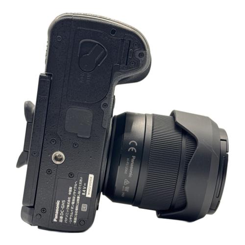 Panasonic (パナソニック) デジタル一眼レフカメラ Lumix DC-GH5 H-FS12060セット