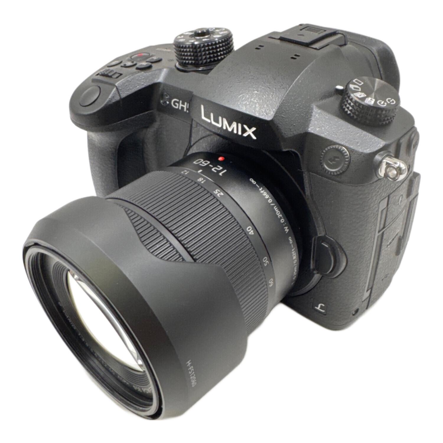 Panasonic (パナソニック) ミラーレス一眼カメラ Lumix DC-GH5 レンズ