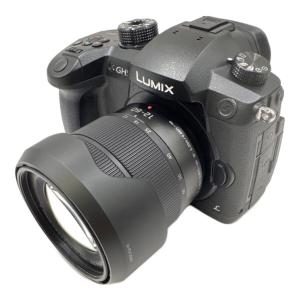 Panasonic (パナソニック) ミラーレス一眼カメラ Lumix DC-GH5 レンズキット