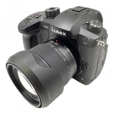 LUMIX DC-GF5 レンズキット ジャンク品 Panasonic (パナソニック) ミラーレス一眼カメラ Lumix DC-GH5 レンズ