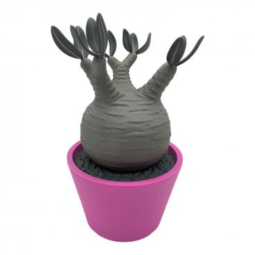 キーワード：メディコム】商品一覧｜中古・リサイクルショップの公式