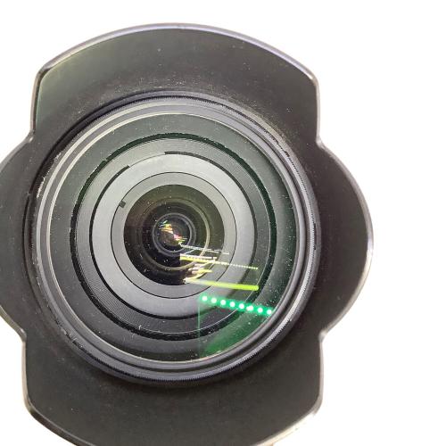 Nikon (ニコン) 一眼レフカメラ D60