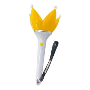 BIGBANG (ビックバン) ペンライト