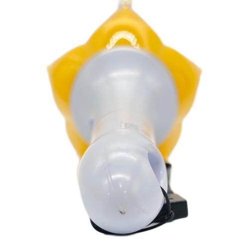 BIGBANG (ビックバン) ペンライト