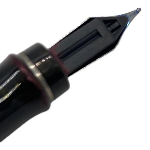 WATERMAN (ウォーターマン) 万年筆