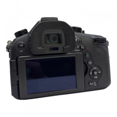 Panasonic (パナソニック) デジタル一眼レフカメラ 動作確認済み