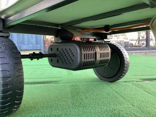 litheli 電動カート W1 PRO