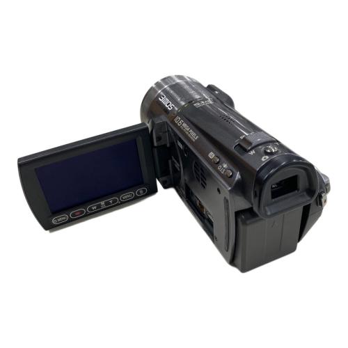 Panasonic (パナソニック) デジタルハイビジョンカメラ HDC-TM350 動作確認済み