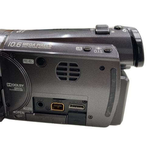 Panasonic (パナソニック) デジタルハイビジョンカメラ HDC-TM350 動作確認済み