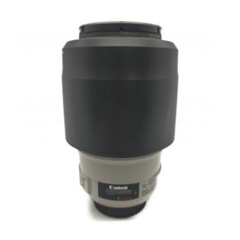 CANON (キャノン) 望遠レンズ EF70-300mm F4-5.6L IS USM EF7 -