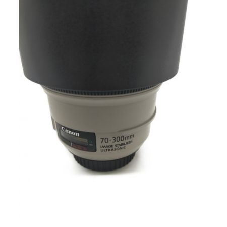 CANON (キャノン) 望遠レンズ EF70-300mm F4-5.6L IS USM EF7 -