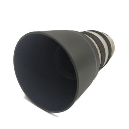 CANON (キャノン) 望遠レンズ EF70-300mm F4-5.6L IS USM EF7 -