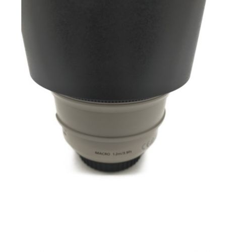 CANON (キャノン) 望遠レンズ EF70-300mm F4-5.6L IS USM EF7 -