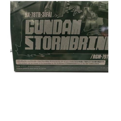 BANDAI (バンダイ) ガンプラ GUNDAM STORMBRINGER F.A