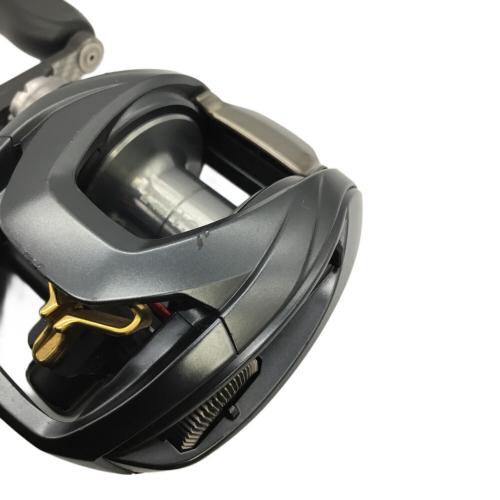 DAIWA (ダイワ) スティーズ A TW 1016H ベイトリール 00613374