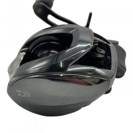 DAIWA (ダイワ) 24STEEZ SV TW 100HL ベイトリール リール 344329