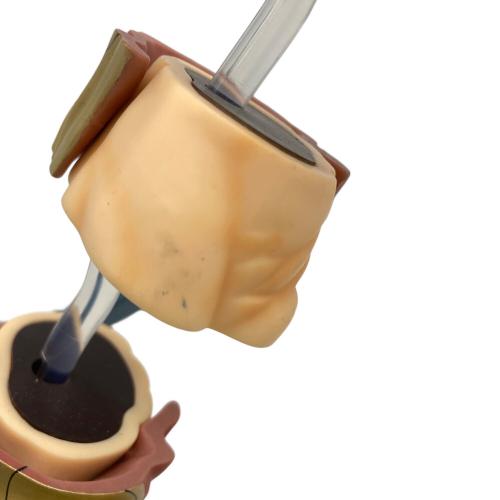 ONE PIECE (ワンピース) DX バギー サムライVer. フィギュア 本体のみ D.P.C.F