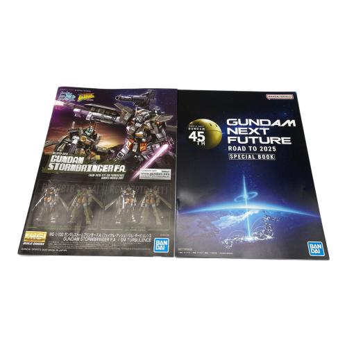 BANDAI (バンダイ) MG 1/100 ガンダムストームブリンガー F.A.(フェイタル・アッシュ) ガンプラ ジム・タービュレンス 、ホビーオンラインショップ限定