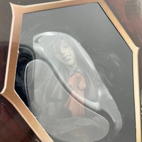 HELLSING レリーフDVDセット -初回限定盤