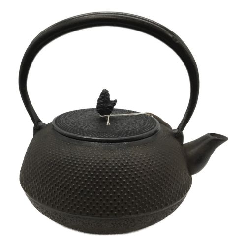 南部鉄器 (ナンブテッキ) 鉄瓶