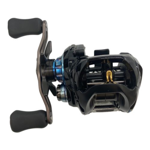 DAIWA (ダイワ) リール 20 ZILLION 10.0L-SV TW ベイトリール