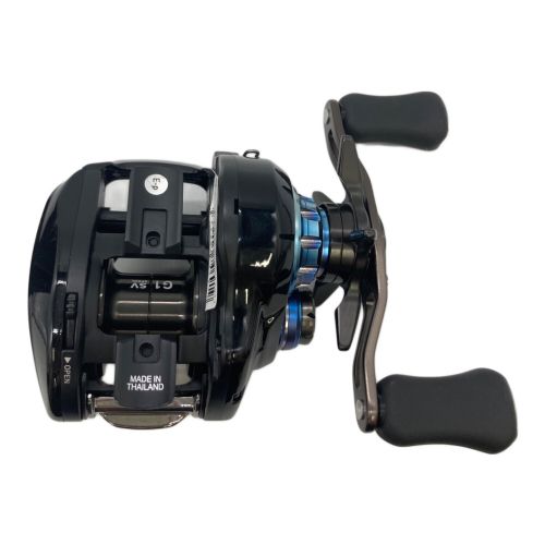 DAIWA (ダイワ) リール 20 ZILLION 10.0L-SV TW ベイトリール