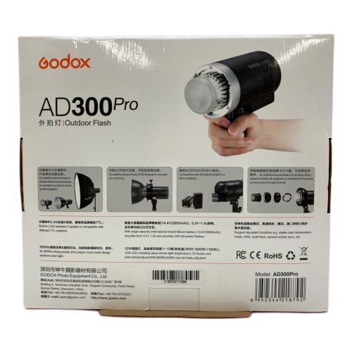 GODOX (ゴドックス) ストロボ AD300Pro