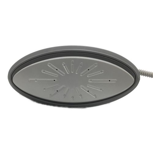 Panasonic (パナソニック) 衣類スチーマー 2021年製 NI-FS780-H