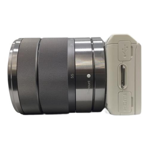 SONY (ソニー) デジタル一眼レフカメラ NEX-5N 専用電池