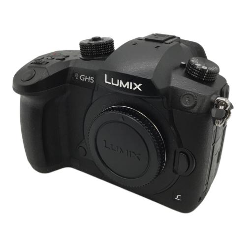 Panasonic (パナソニック) デジタル一眼レフカメラ LUMIX DC-GH5