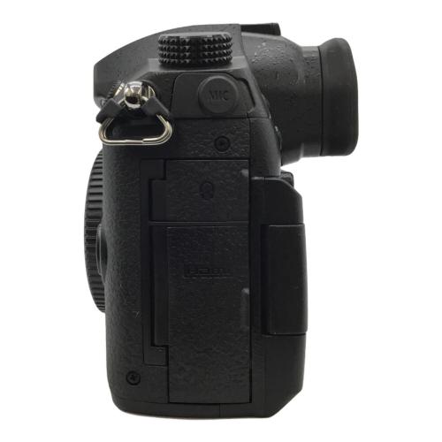 Panasonic (パナソニック) デジタル一眼レフカメラ LUMIX DC-GH5