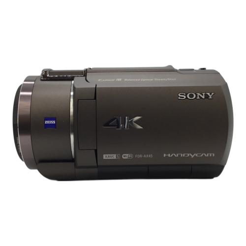 SONY (ソニー) デジタルビデオカメラ 画面ヤケ有 857万画素 FDR-AX45