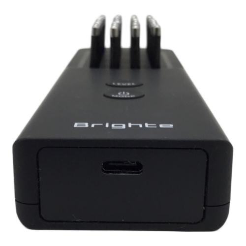 Brighte (ブライト) ブラシ型美顔器 ELEKI BRUSH+ BRT-FSB180 動作確認済み