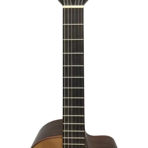 TEDDY'S GUITAR エレガット TEDDY'S Ⅱ 103