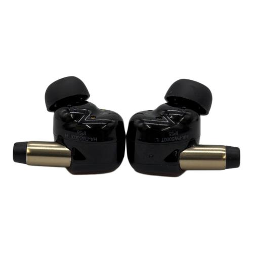 Victor (ビクター) WOOD master HA-FW5000T