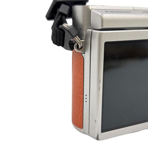 Panasonic (パナソニック) デジタル一眼レフカメラ DC-GF9