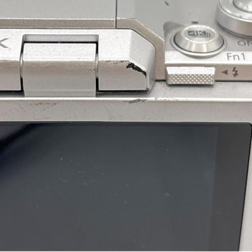 Panasonic (パナソニック) デジタル一眼レフカメラ DC-GF9