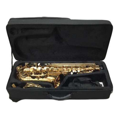 Kaerntner (ケルントナー) サックス